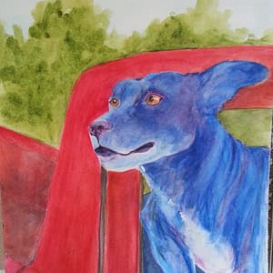 watercolor watercolor pencil blue dog