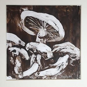 a group of five mushrooms