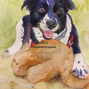 pet portrait, watercolor, dog