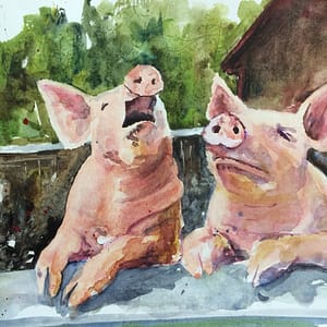 watercolor pigs friends laughing