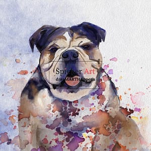 watercolor painting of an English bulldog