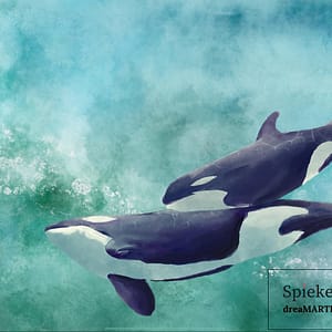 watercolor of Orca whale and her calf