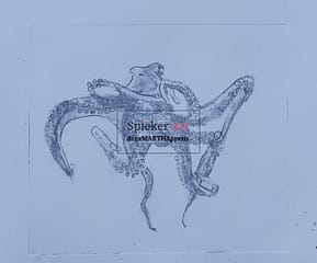 drypoint print of an octopus