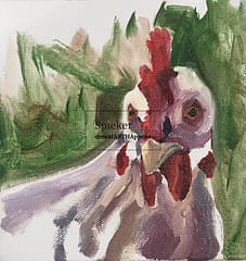 painting of a white chicken