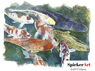Koi gathering for food