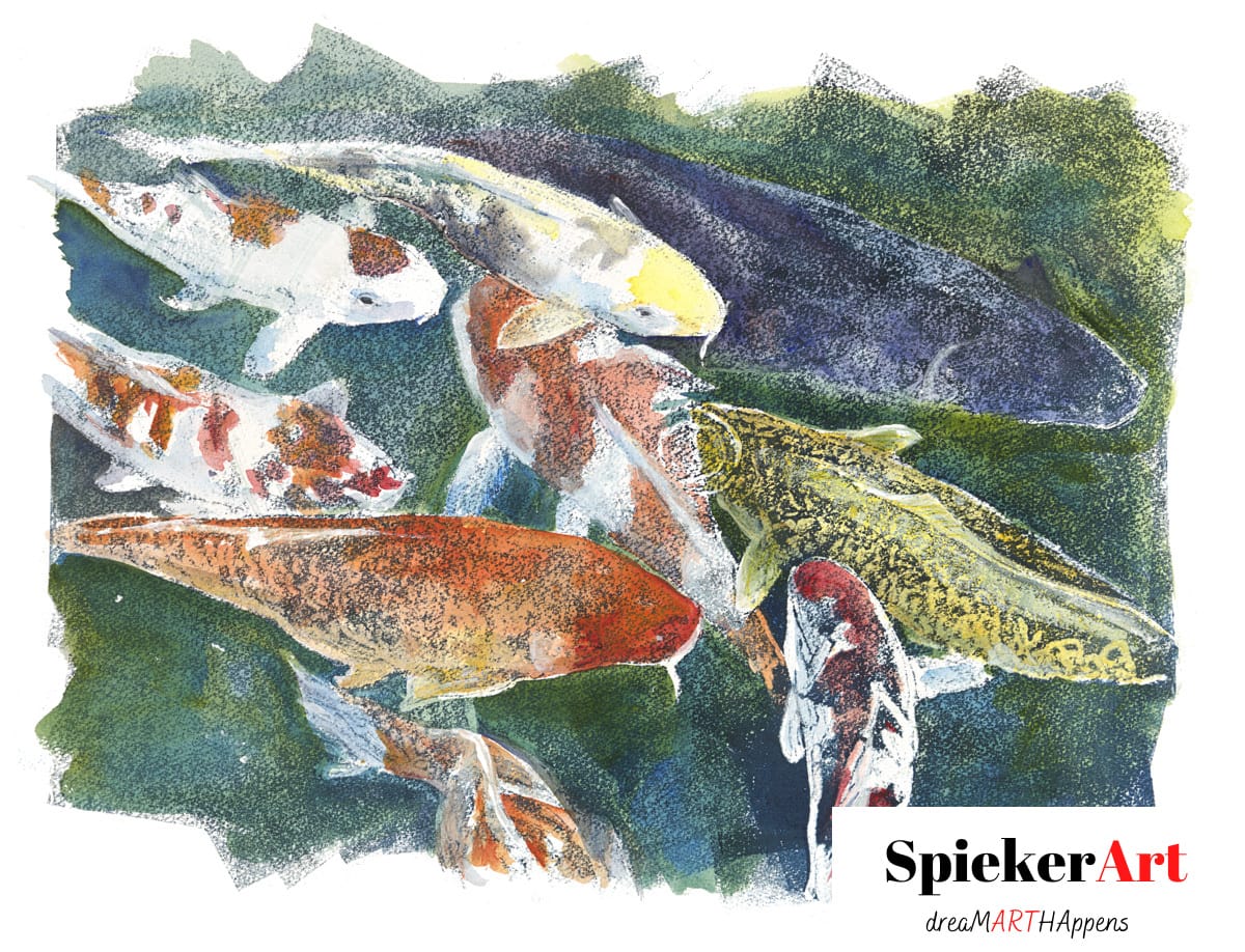Koi gathering for food