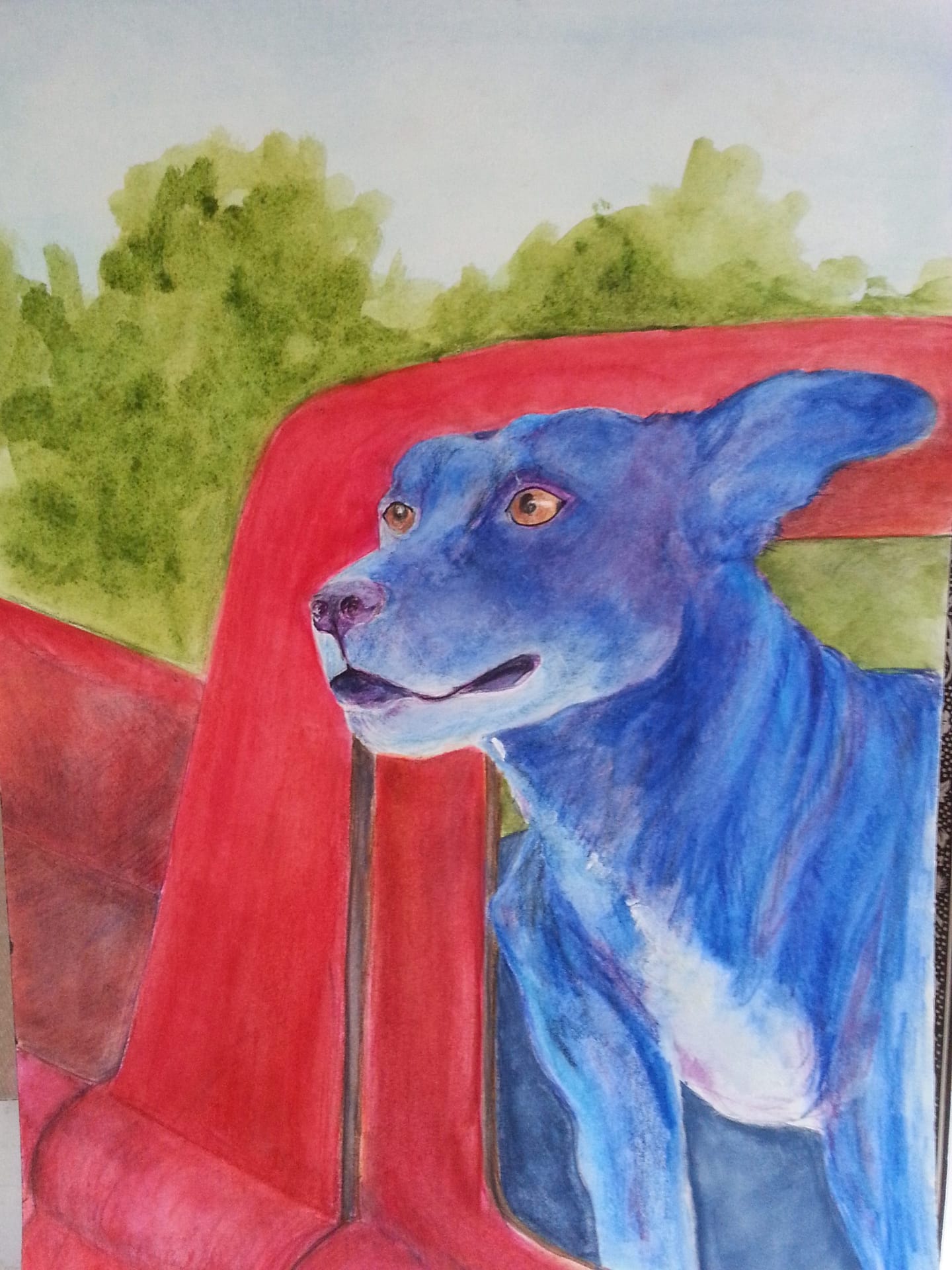 watercolor watercolor pencil blue dog