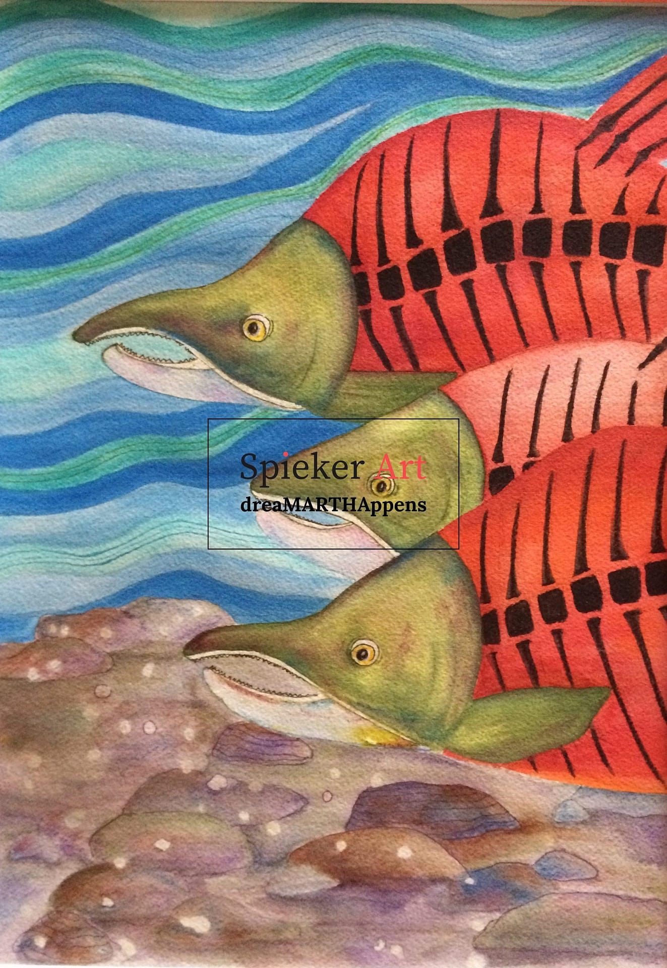 Salmon graphic watercolor pencil coho
