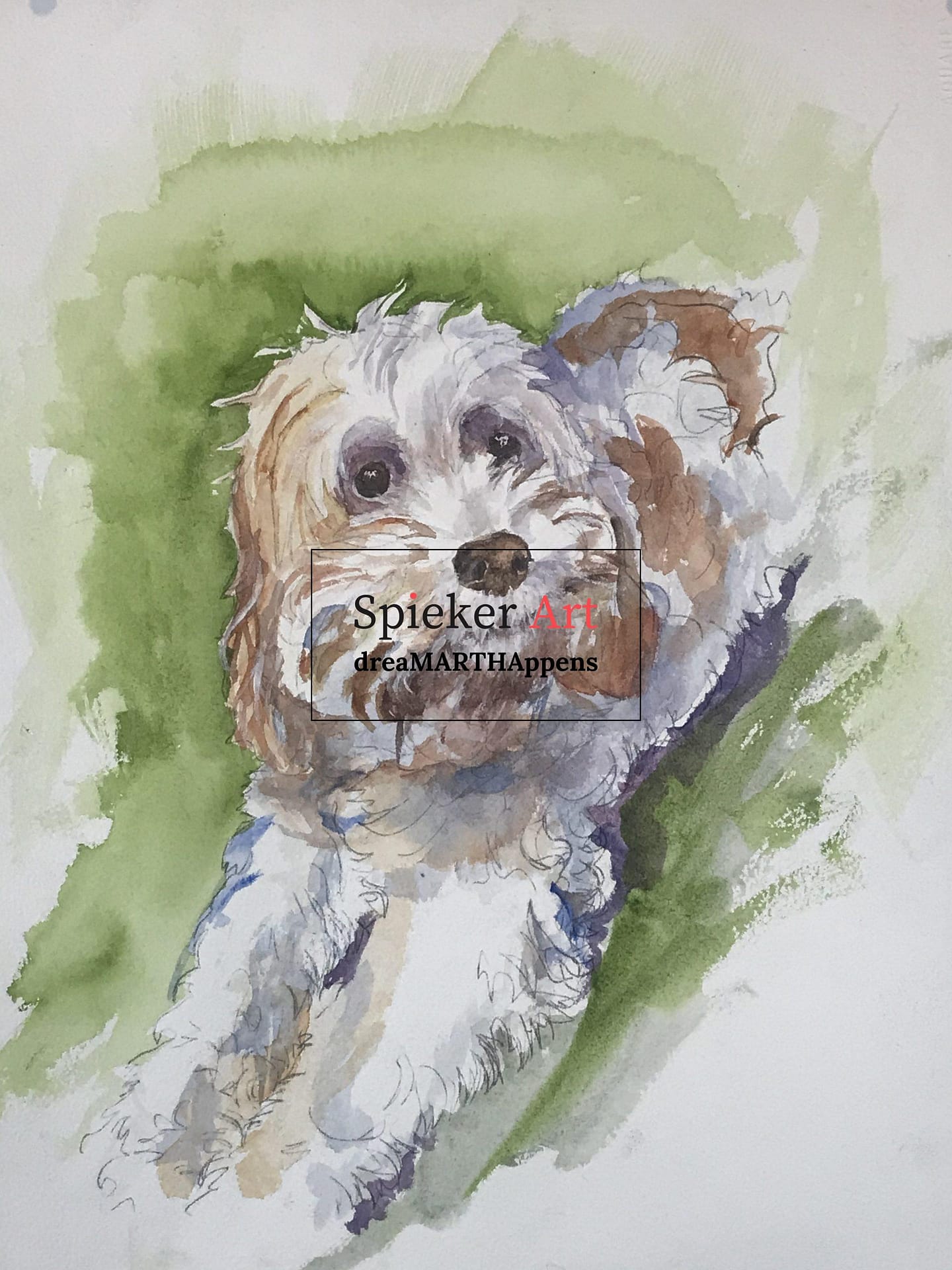 watercolor dog, cavachon